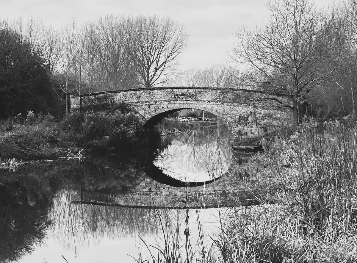 Bridge - Katharine Showell